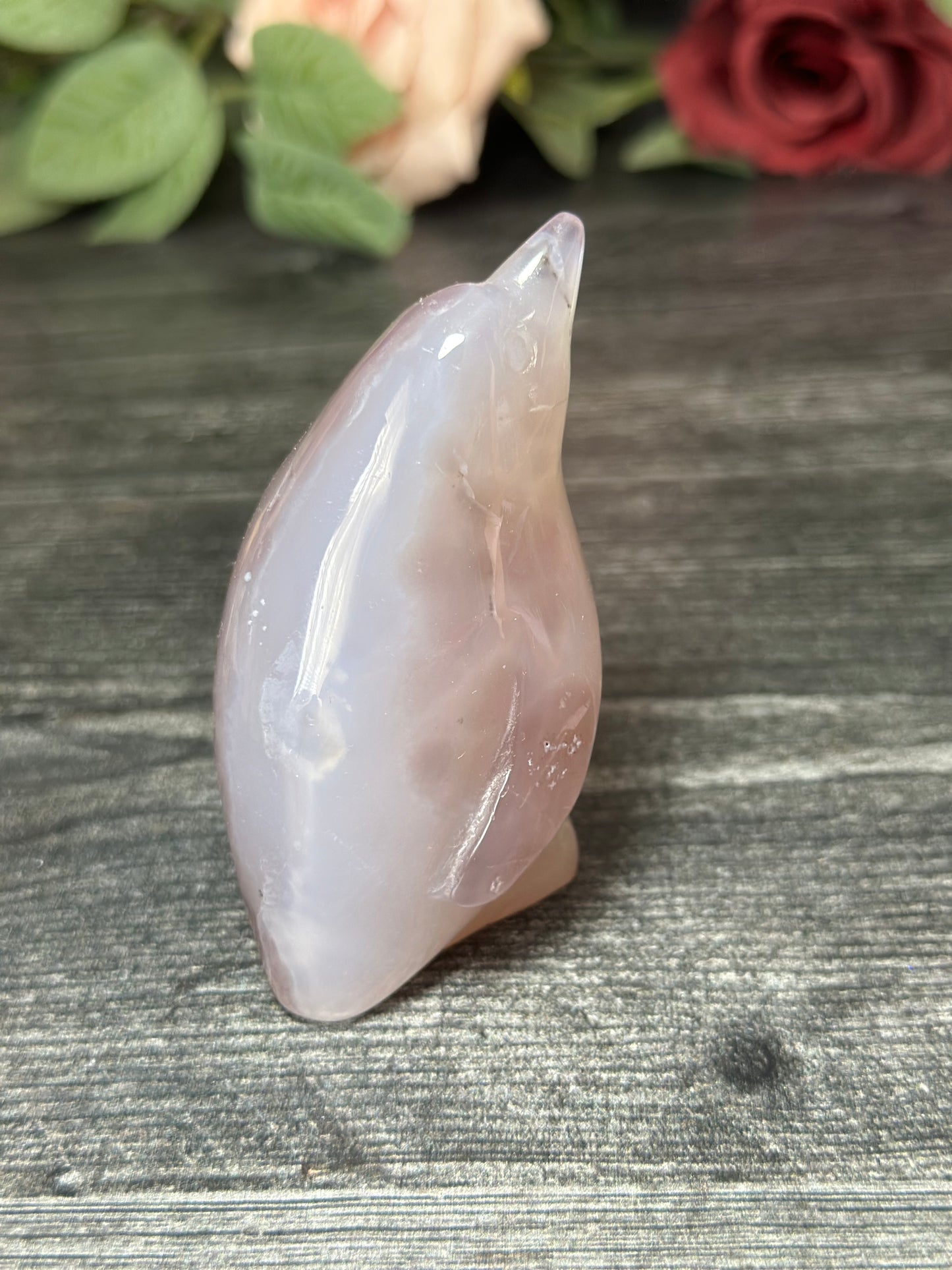 Sugar Druzy Agate Penguin