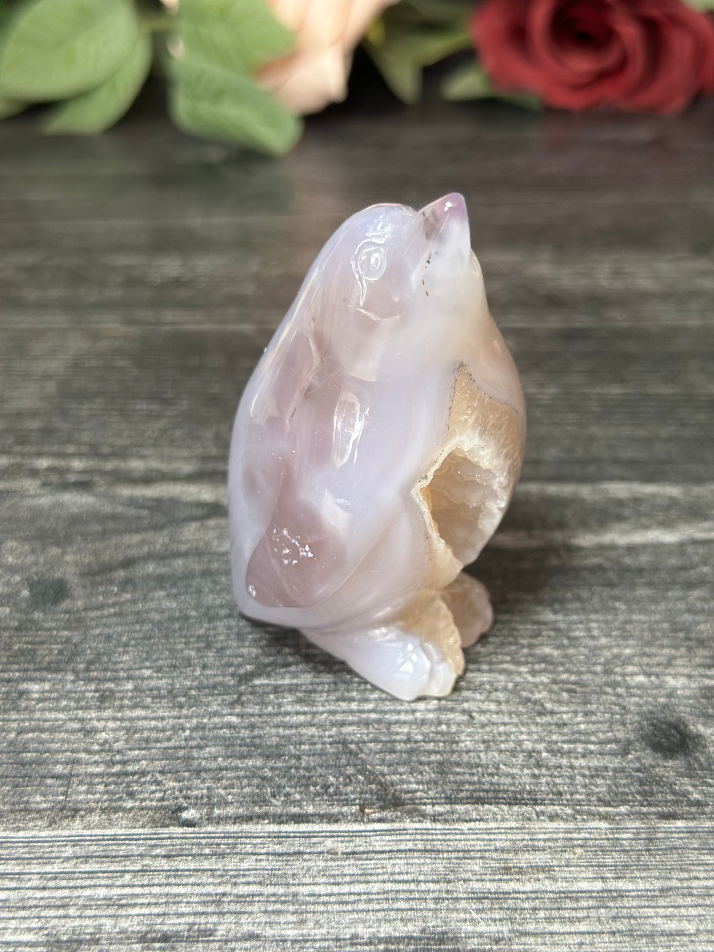 Sugar Druzy Agate Penguin