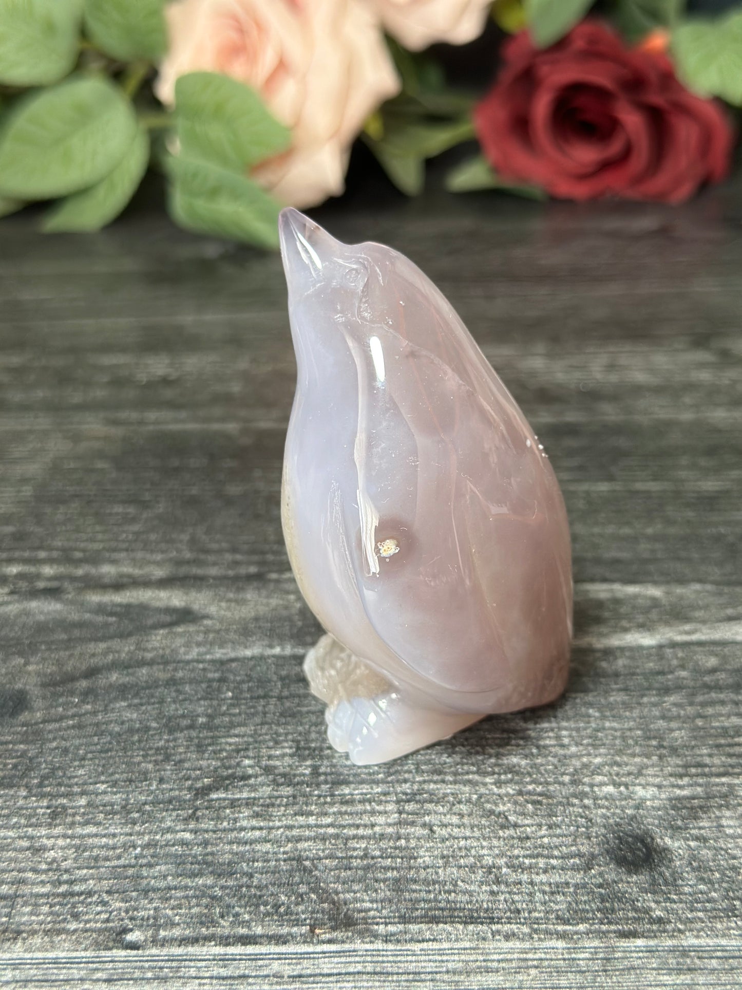 Sugar Druzy Agate Penguin