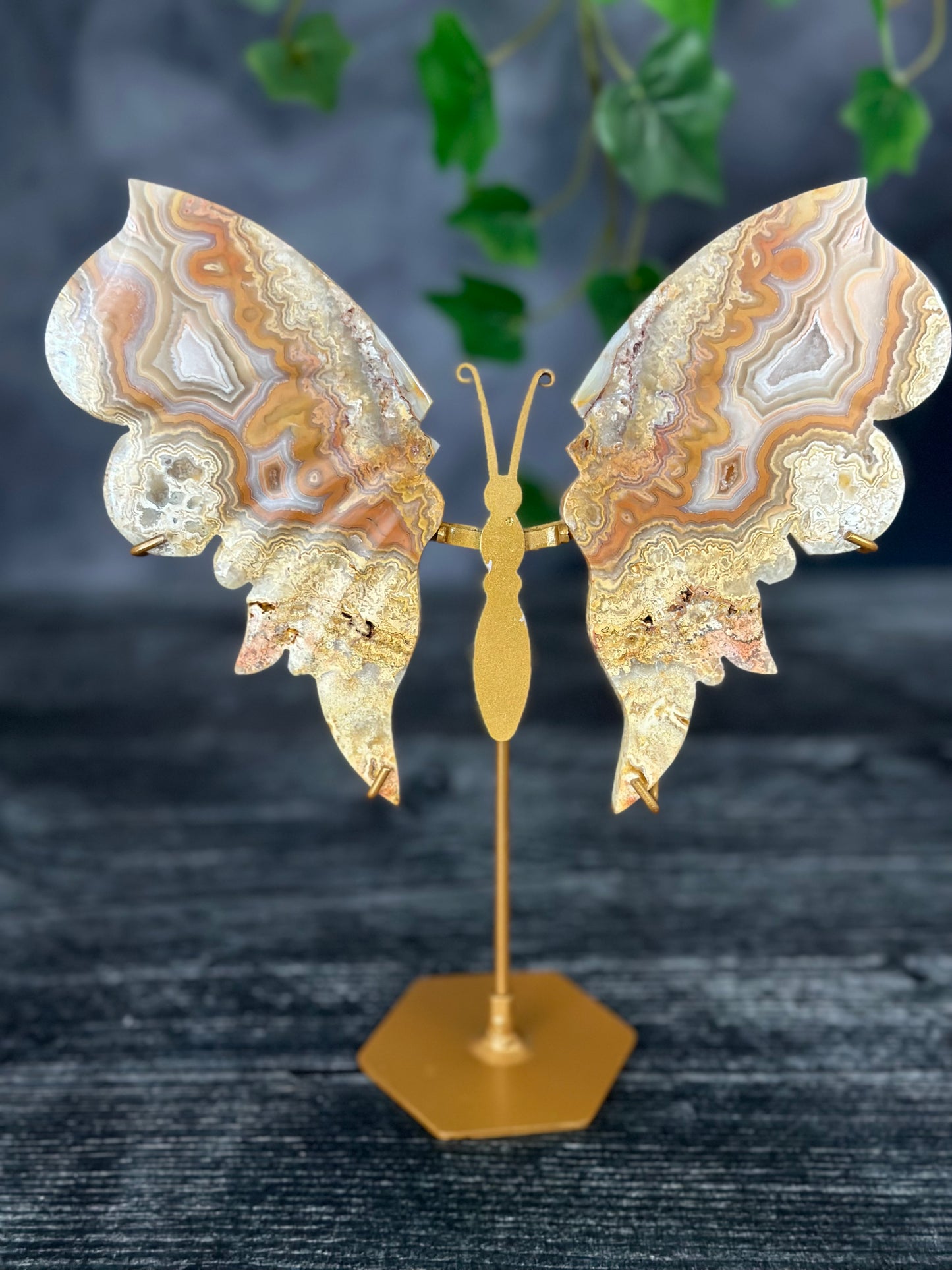 Crazy Lace Agate Butterfly Wings