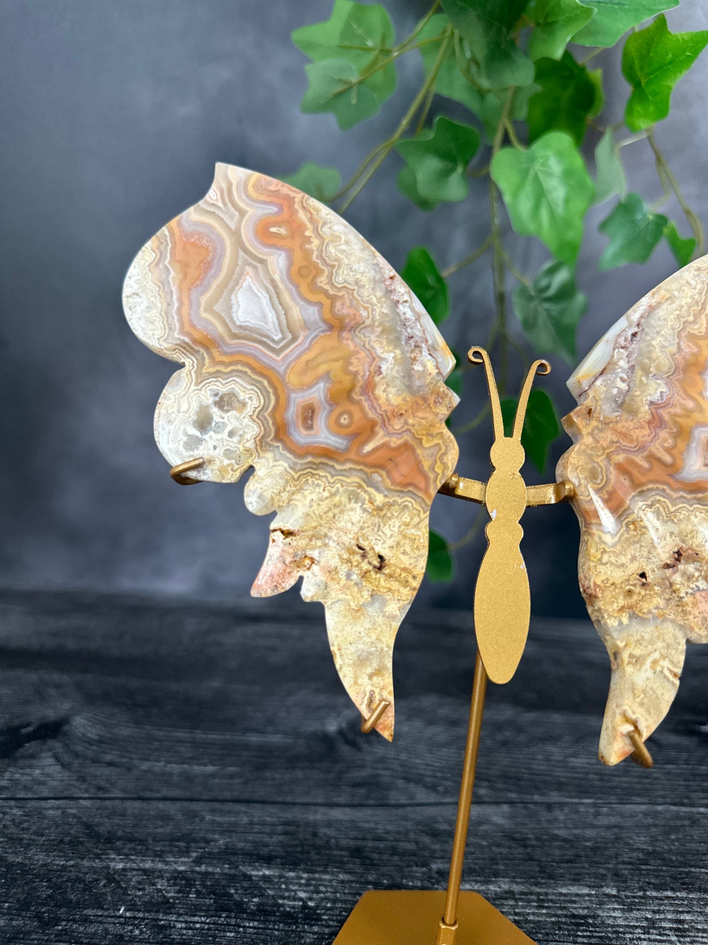 Crazy Lace Agate Butterfly Wings