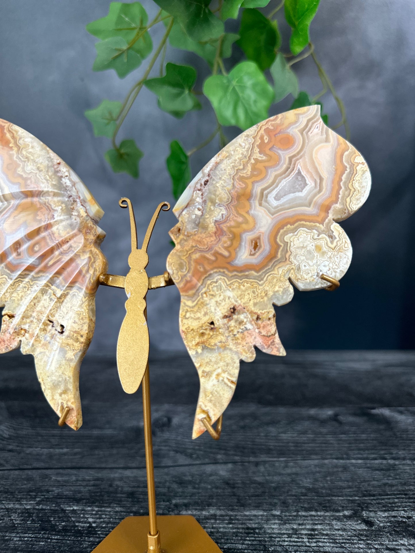 Crazy Lace Agate Butterfly Wings